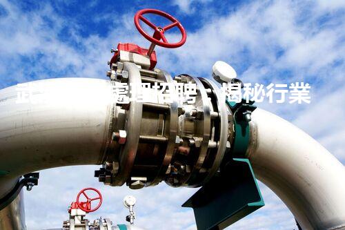 武漢廢水處理招聘：揭秘行業(yè)內(nèi)幕，你不明白的就業(yè)機(jī)會(huì)？
